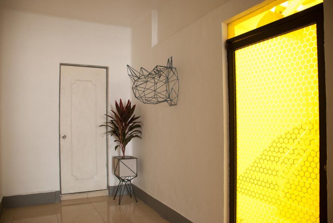 Bed and Breakfast Wanderlust District Ciudad de México Exteriér fotografie